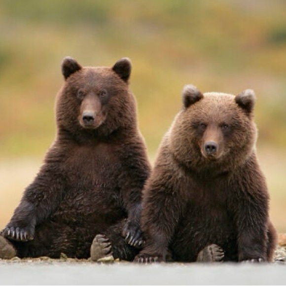 2bears4fashion